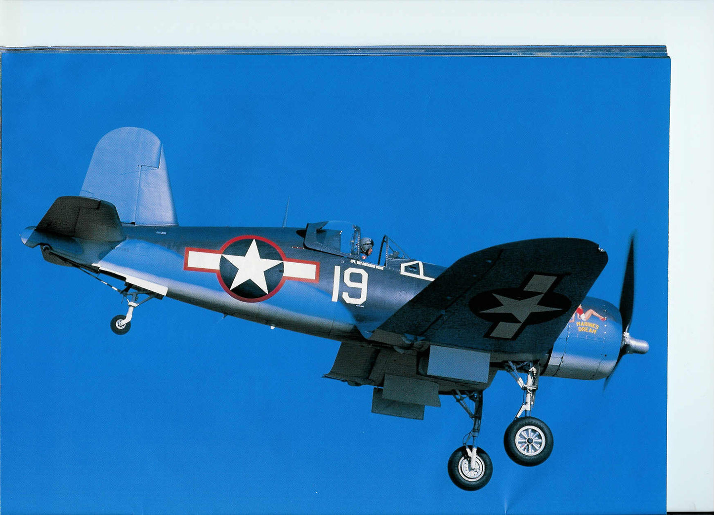 Cowboy Up - Fighter Ace Coffee Blend